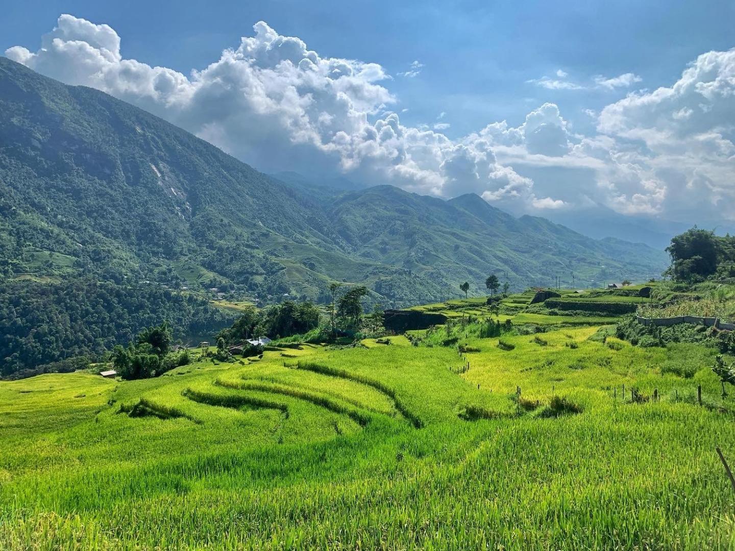La Rosa House Bed & Breakfast Sa Pa Ngoại thất bức ảnh